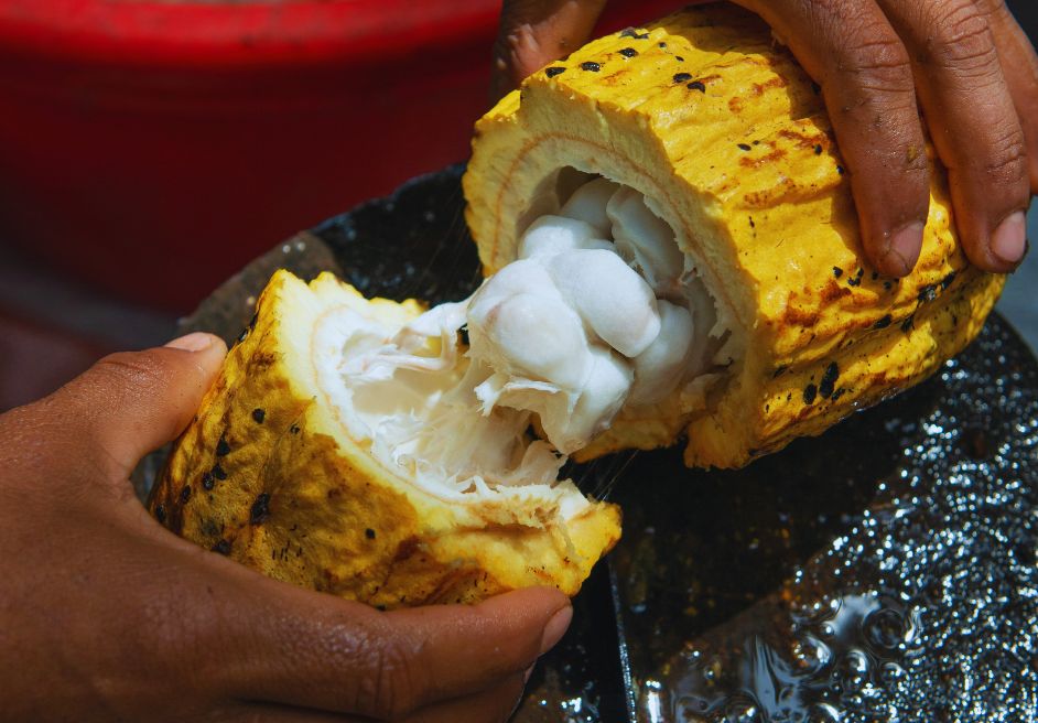 高カカオチョコレートの健康効果と楽しみ方【72%・86%・95%の違い】