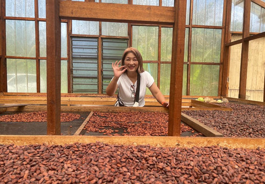 マレーシアLees Cocoaカカオ農園訪問