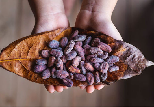 シングルオリジンチョコレートとは？　カカオ豆の産地ごとの特徴を紹介！
