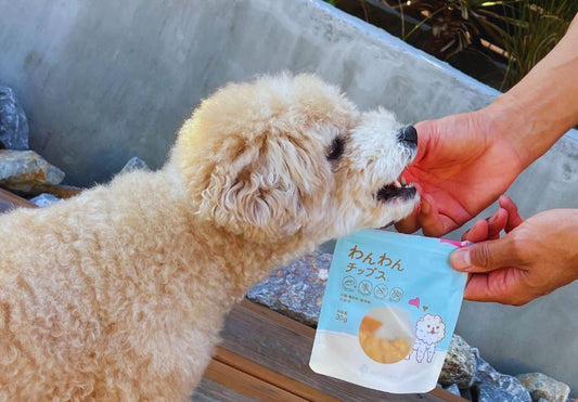 原材料に妥協なし！　愛犬の健康を守るわんわんチップス＆クッキー